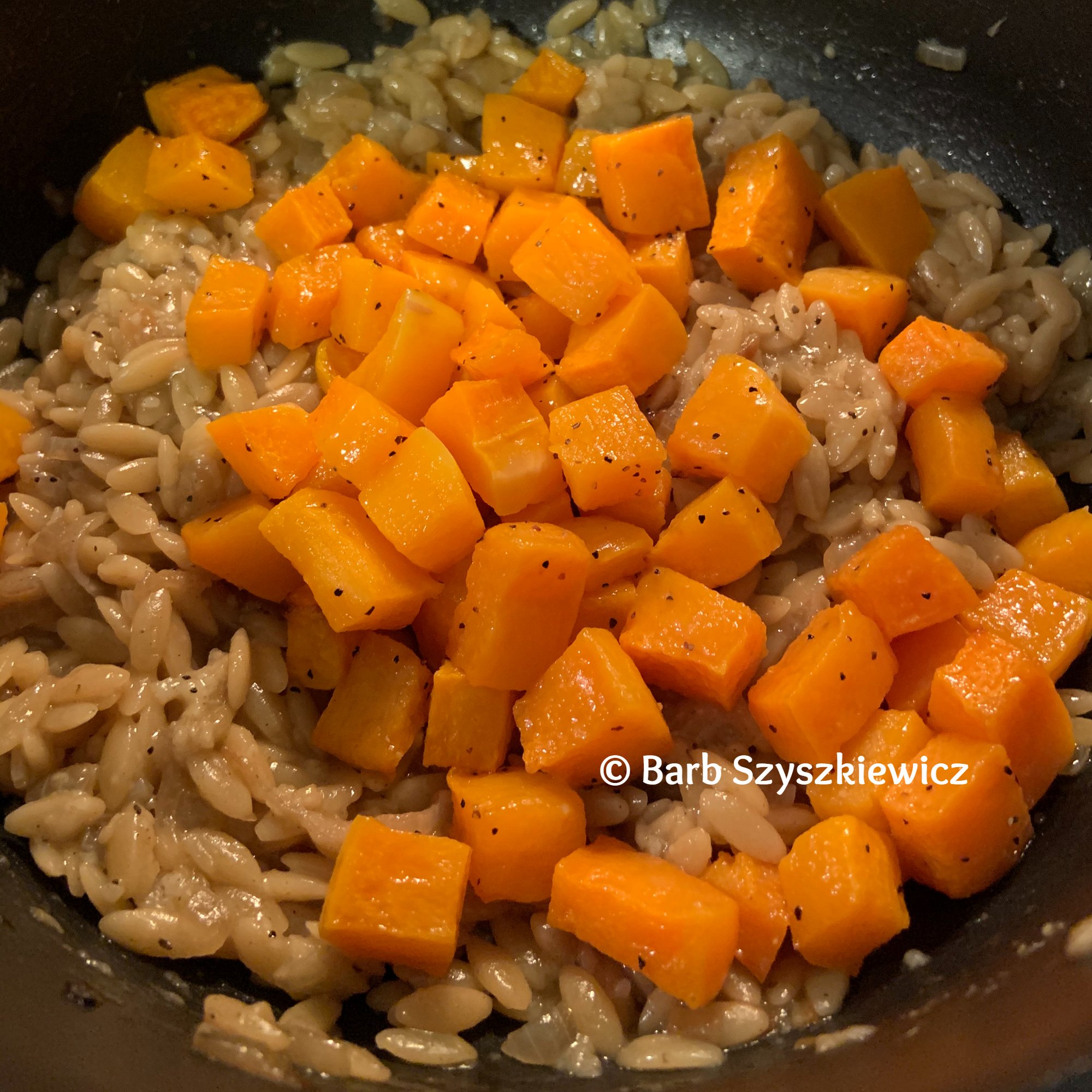 Meatless Friday Orzo with Butternut Squash
